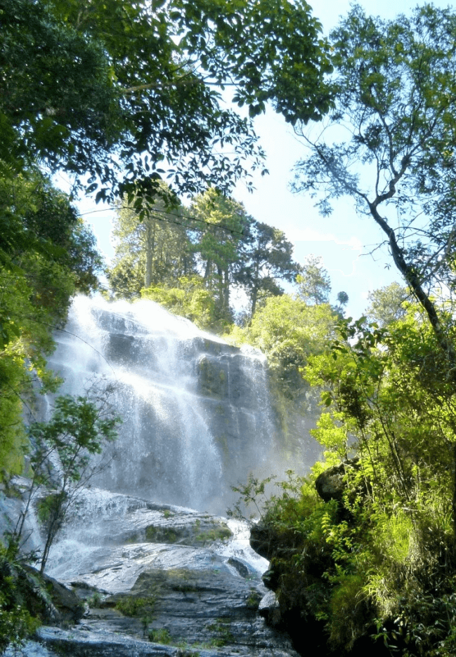 Reserva Baú